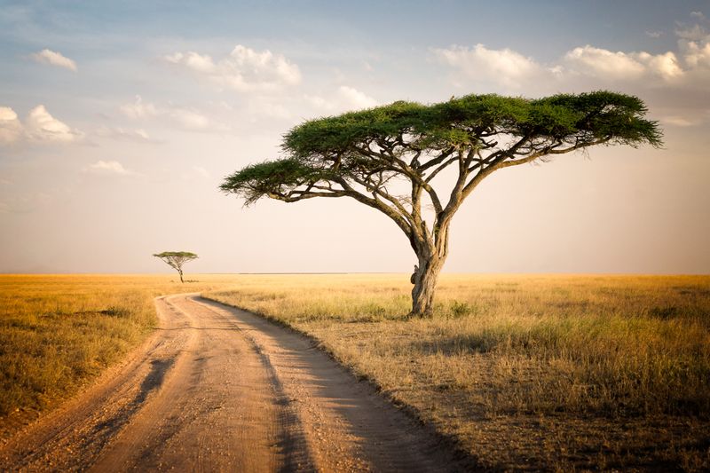 ÁFRICA